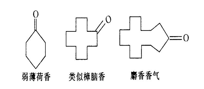 香精與香料(14)