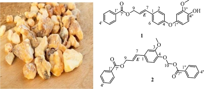 香精與香料(81)—安息香