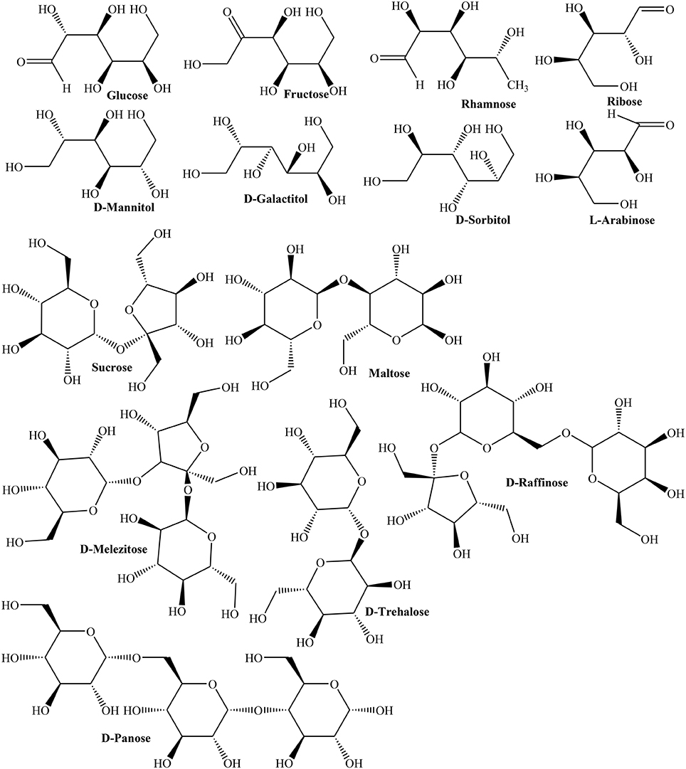 香精與香料(100)—榅桲