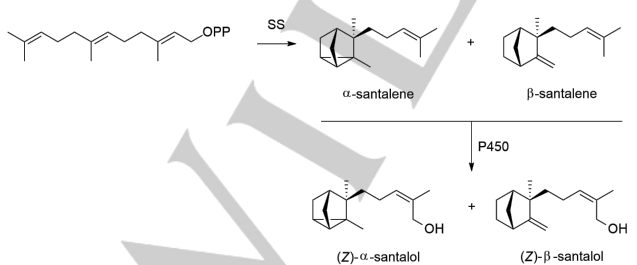 生物合成香料的化學(xué)組成、可持續(xù)性和天然性