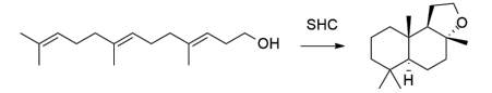 生物合成香料的化學(xué)組成、可持續(xù)性和天然性