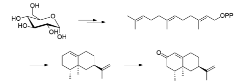 生物合成香料的化學(xué)組成、可持續(xù)性和天然性