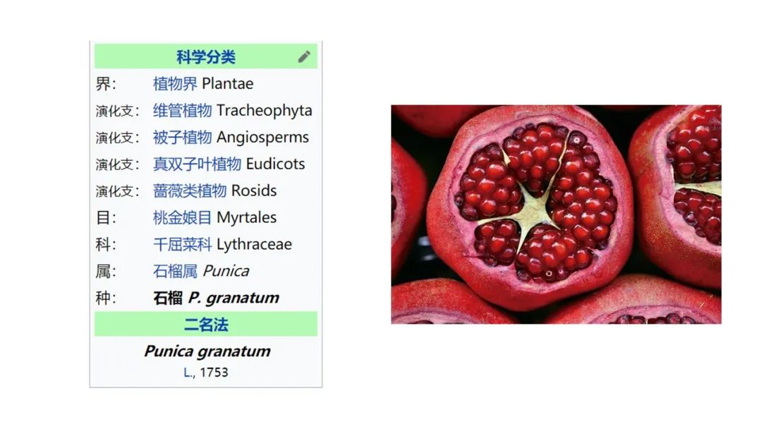 香精與香料(163)—石榴