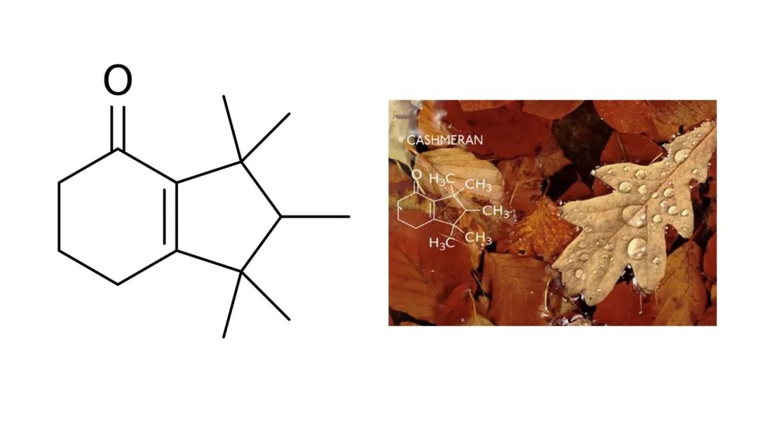 調香筆記(8)——50種常見的香水成分:氣味和起源