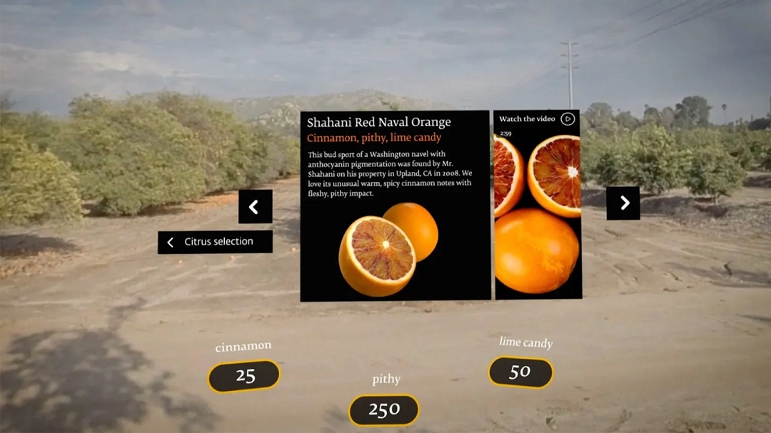 虛擬現(xiàn)實商業(yè)-奇華頓虛擬口味旅行?柑橘-把風(fēng)味創(chuàng)造到下一個水平