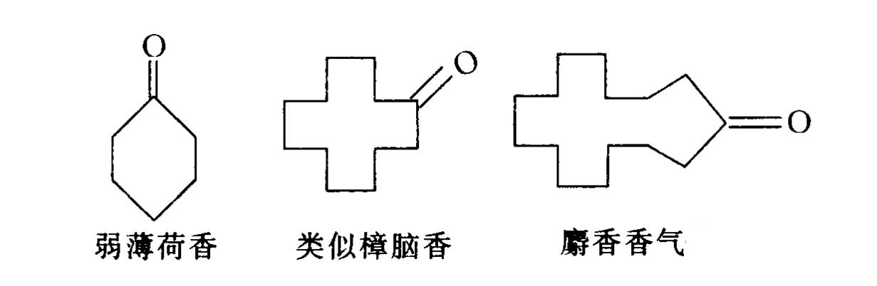 香料的分子結(jié)構(gòu)與香氣的關(guān)系